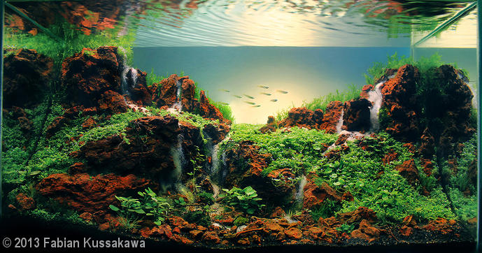 'Seven Falls' aquascape by Fabian Kussakawa